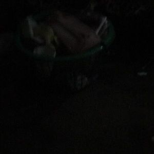 Meet your Posher, Tom